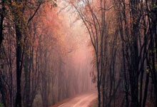 开云体育：终结70年“冠军荒” 纽卡斯尔联队首夺英格兰联赛杯.