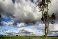 开云体育：终结70年“冠军荒” 纽卡斯尔联队首夺英格兰联赛杯.