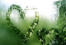 开云体育：[CBA]库克突破上篮不进 沃特补篮压哨命中.