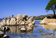 贝蒂斯2-1逆转，曼联弃将安东尼被摔倒旋转360度倒地，伊斯科妙传.